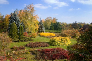 Ботанический сад в Кривом Роге.